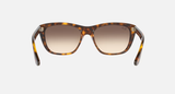 Ray-Ban RB4154 Unisex Lifestyle Square Sunglasses