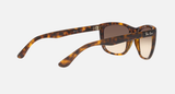 Ray-Ban RB4154 Unisex Lifestyle Square Sunglasses