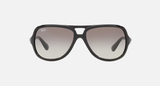 Ray-Ban RB4162 Unisex Lifestyle Pilot Sunglasses