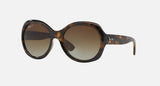 Ray-Ban RB4191 Unisex Lifestyle Round Sunglasses