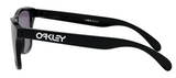 Oakley Frogskins XS Youth Lifestyle Sunglasses