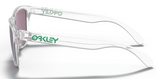 Oakley Frogskins XS Youth Lifestyle Sunglasses