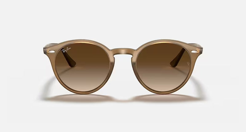 Ray-Ban Turtledove Women Lifestyle Sunglasses