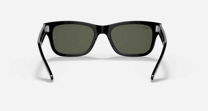 Ray-Ban Mr. Burbank Unisex Lifestyle Sunglasses