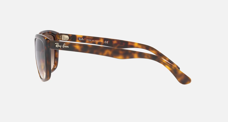 Ray-Ban RB4154 Unisex Lifestyle Square Sunglasses