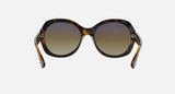 Ray-Ban RB4191 Unisex Lifestyle Round Sunglasses