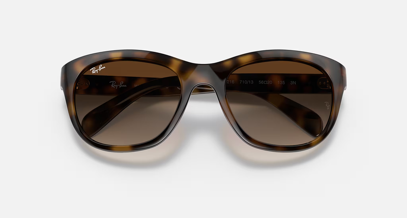 Ray-Ban RB4216 Unisex Lifestyle Square Sunglasses