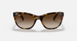 Ray-Ban RB4216 Unisex Lifestyle Square Sunglasses
