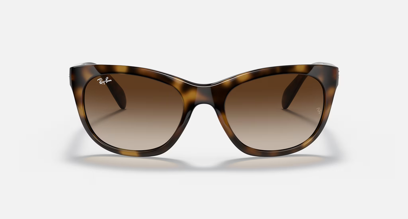 Ray-Ban RB4216 Unisex Lifestyle Square Sunglasses