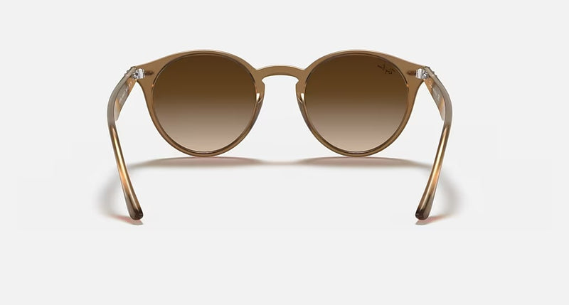 Ray-Ban Turtledove Women Lifestyle Sunglasses