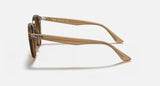Ray-Ban Turtledove Women Lifestyle Sunglasses