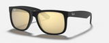 Ray-Ban Justin Color Mix Lifestyle Sunglasses